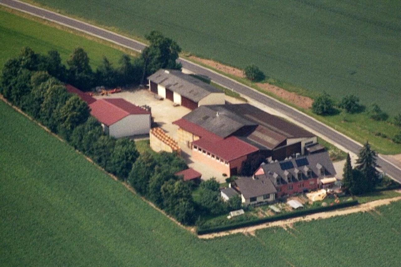 Ferienwohnungen Maintal Karlstadt Εξωτερικό φωτογραφία